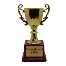 Cupă personalizată cea mai buna sefa