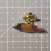 Insignă cu pin harta tricolor Romania