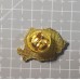 Insignă cu pin harta tricolor Romania