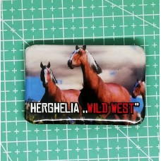 Magnet personalizat 60x40mm